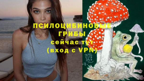 ПСИЛОЦИБИНОВЫЕ ГРИБЫ Тихвин