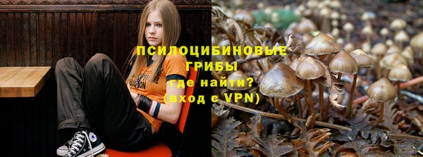 ГАЛЛЮЦИНОГЕННЫЕ ГРИБЫ Абинск